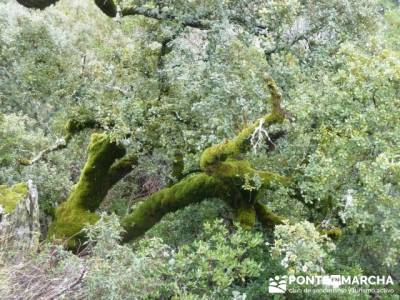 Las Hurdes: Agua y Paisaje;senderismo gredos;senderismo la rioja